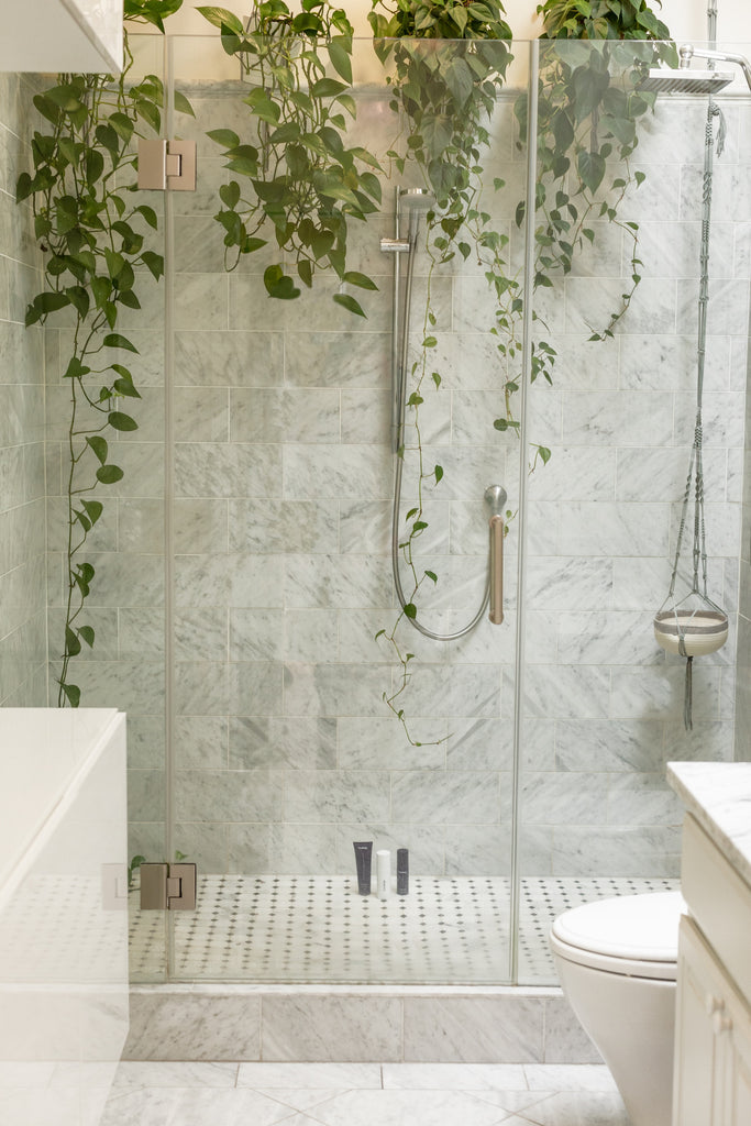 What Are Shower Steamers?