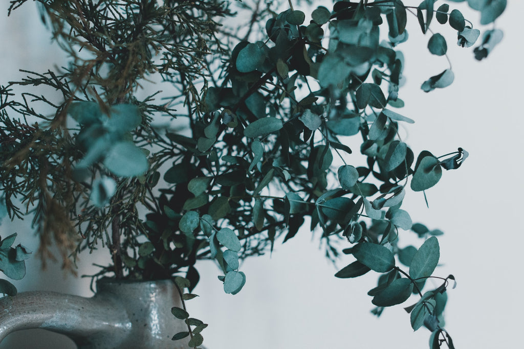 When Should I Replace My Eucalyptus Bundle?
