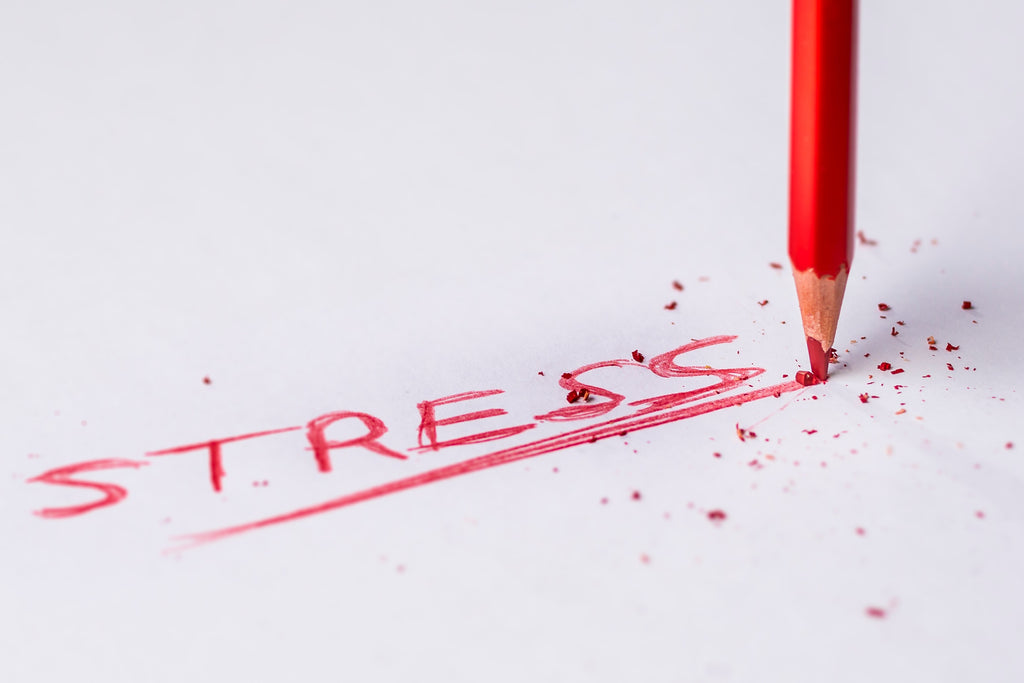 Does Eucalyptus Relieve Stress?
