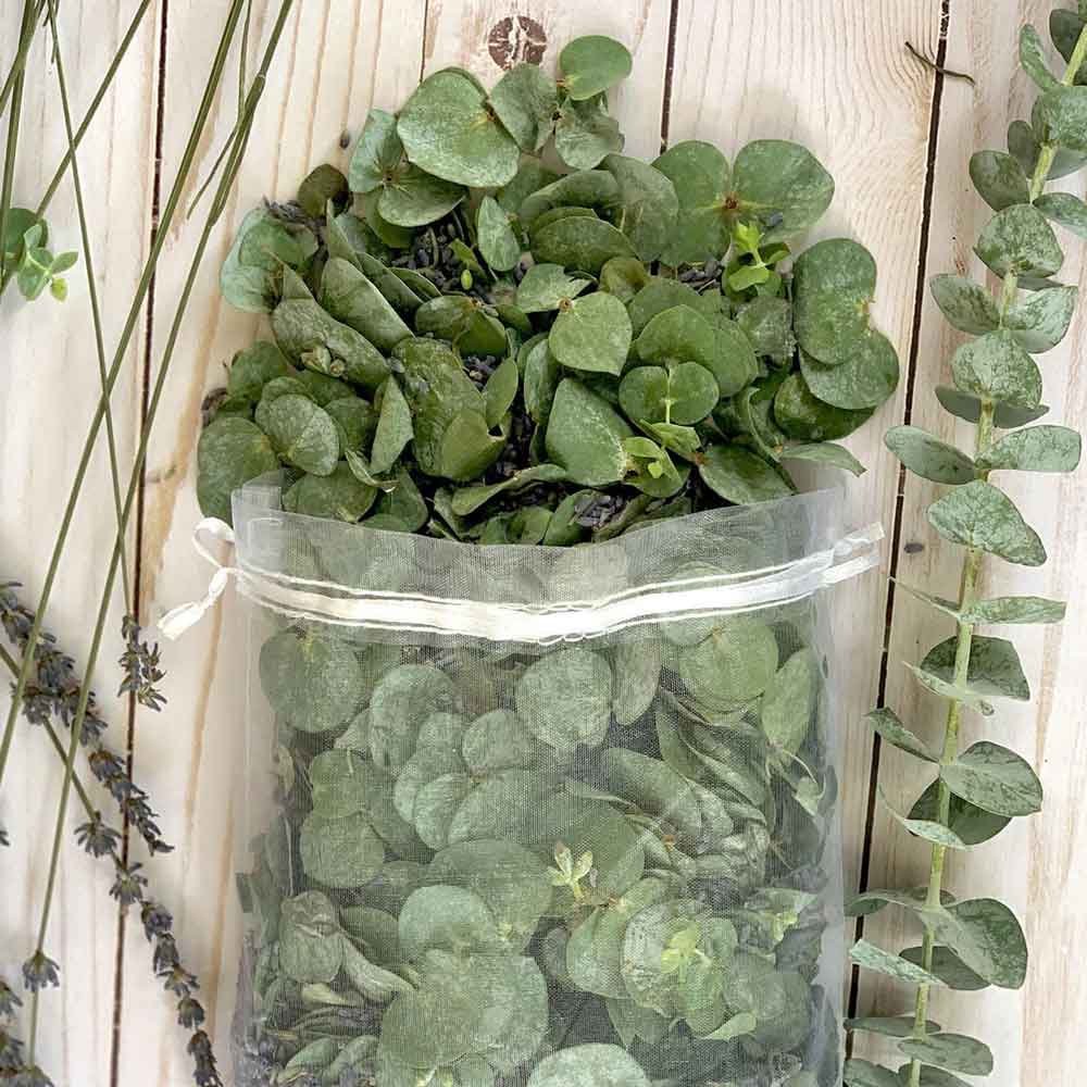 Fresh eucalyptus and essential oils in brimming bag