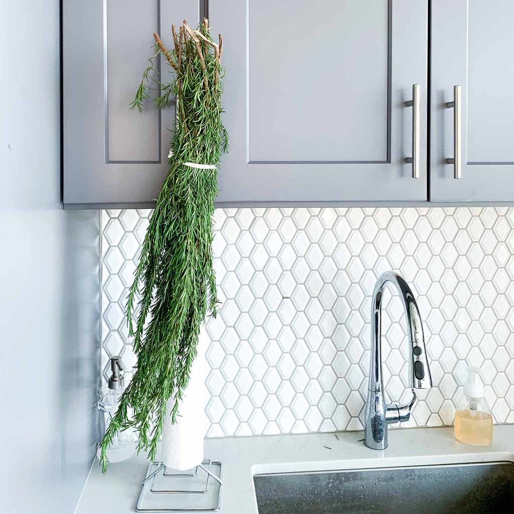 Fresh rosemary hanging from kitchen sink