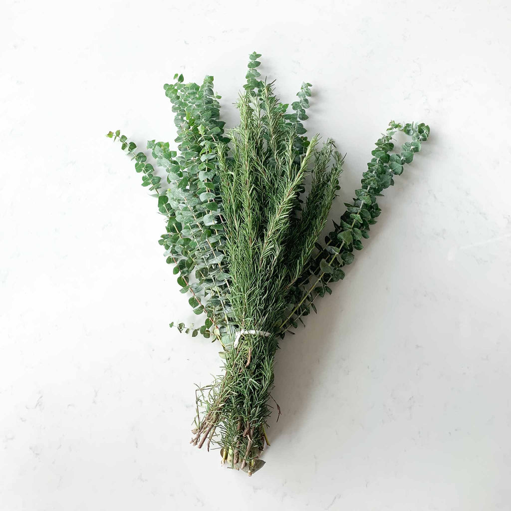 Rosemary and eucalyptus on white quartz backdrop