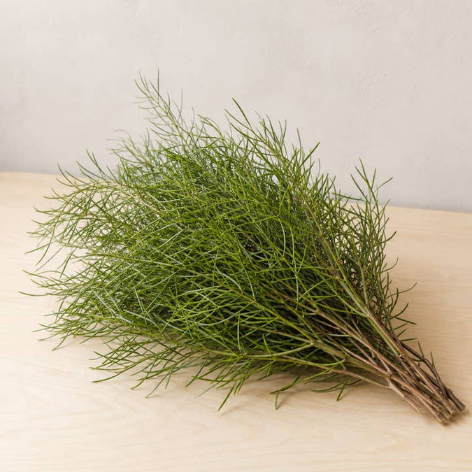 Fresh Finger Acacia Greenery product photograph