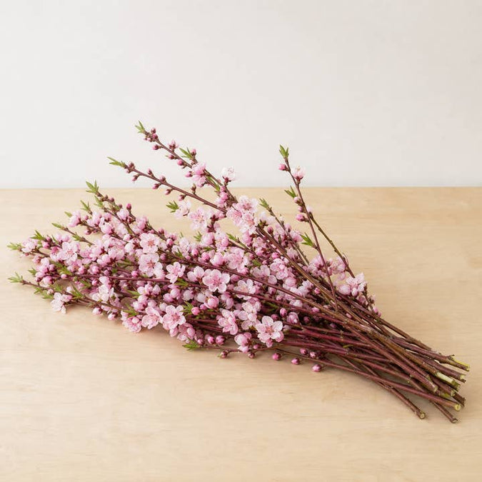 Fresh Flowering Peach Branches product photograph