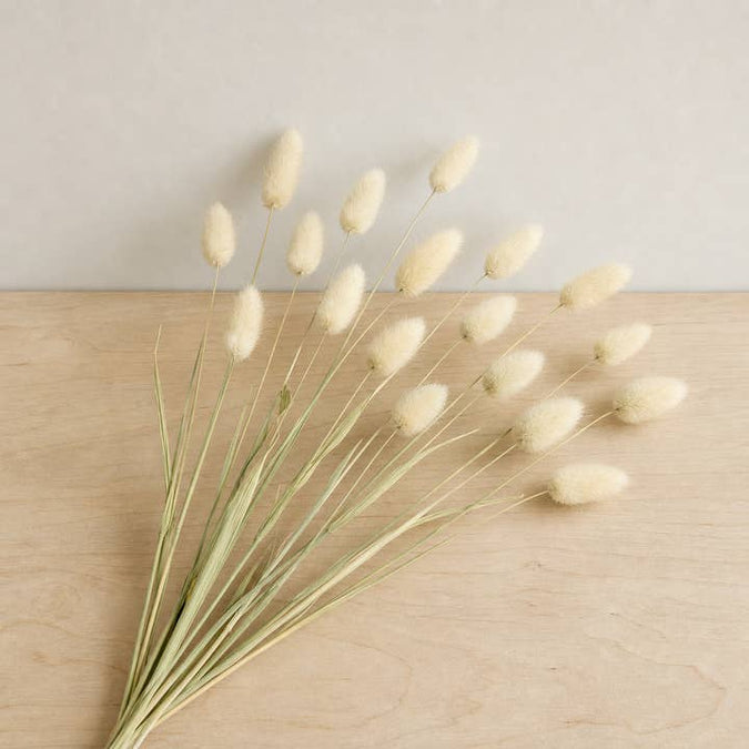 Fresh Bunny Tail Grass product photograph