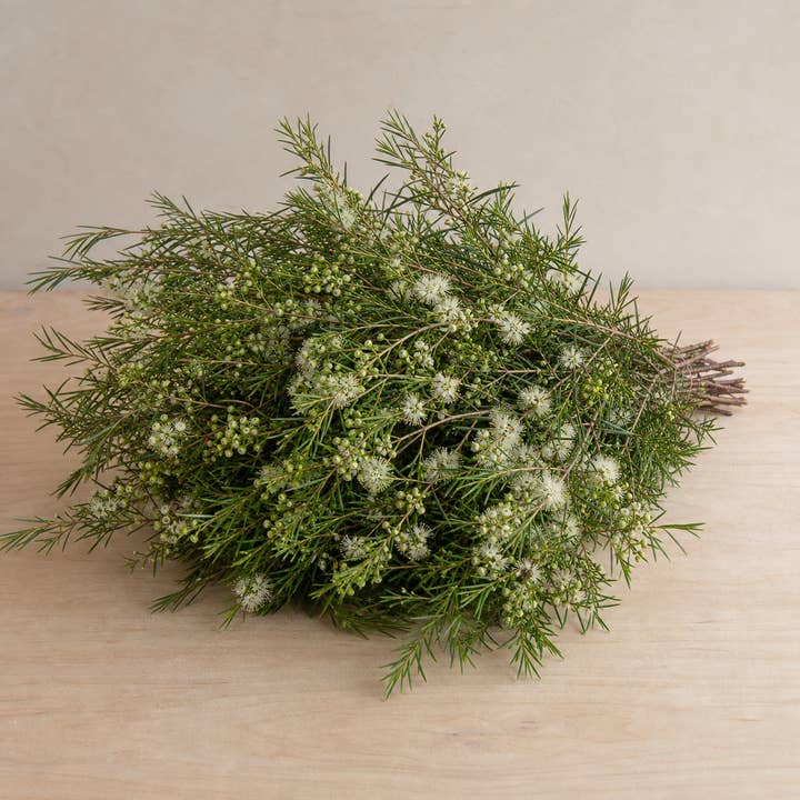 Fresh Honey Bracelet Myrtle Foliage product photograph