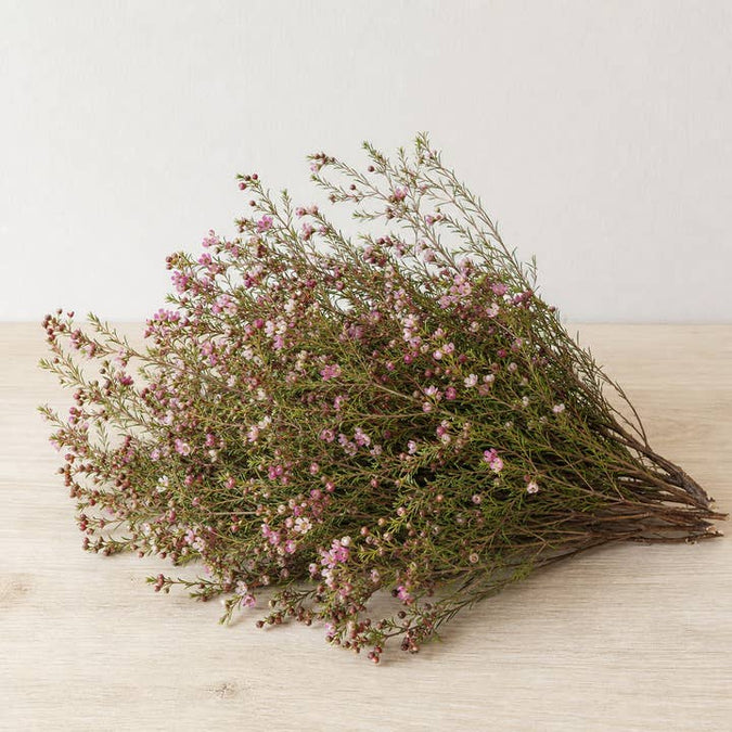 Fresh Rock Thryptomene product photograph