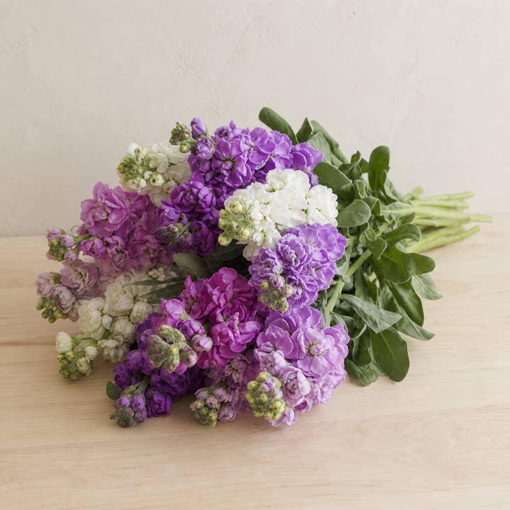 Fresh Stock Flowers product photograph