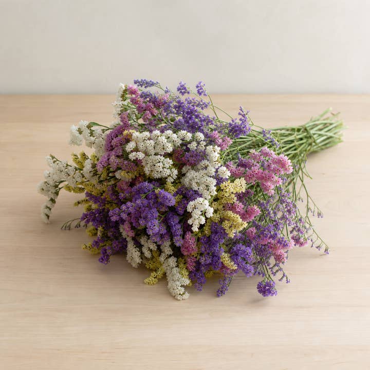 Fresh Assorted Statice product photograph