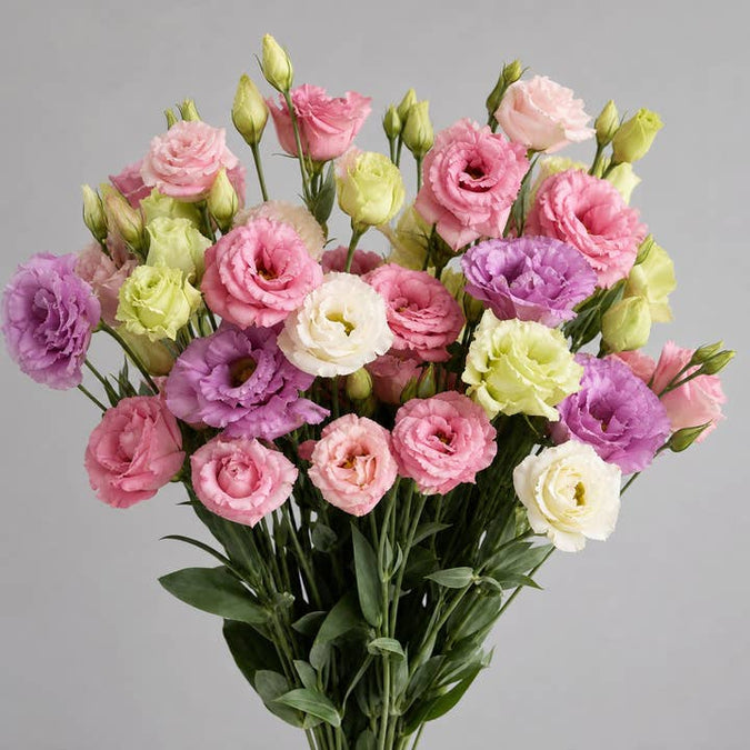 Fresh Lisianthus product photograph