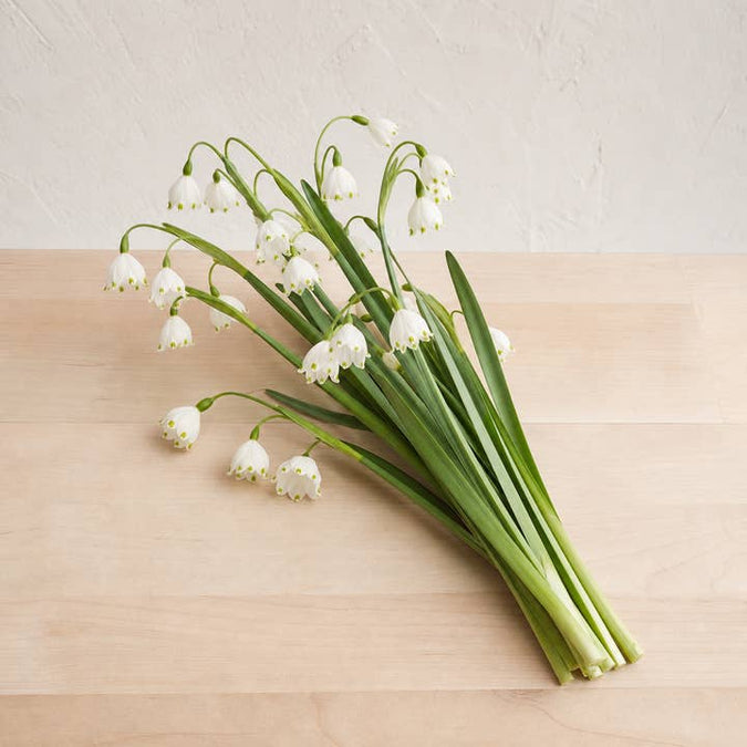 Fresh White Summer Snowflakes product photograph