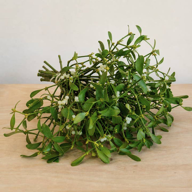 Fresh Mistletoe Greenery product photograph