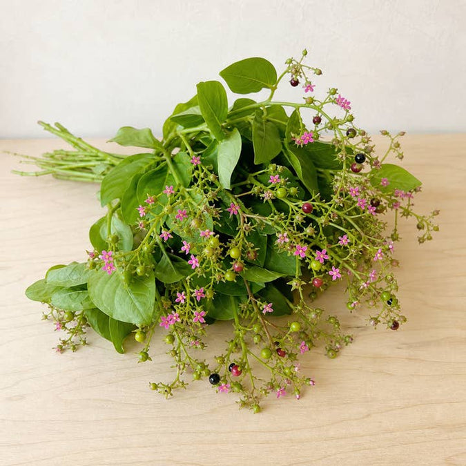 Fresh Jewels-of-Opar product photograph