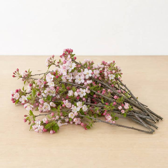 Fresh Flowering Crabapple Branches product photograph