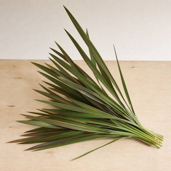 Fresh Flax Foliage product photograph