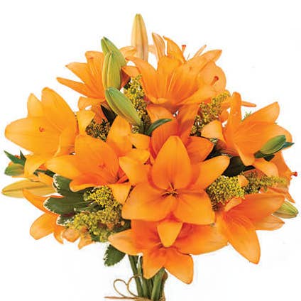 Fresh Lilies product photograph