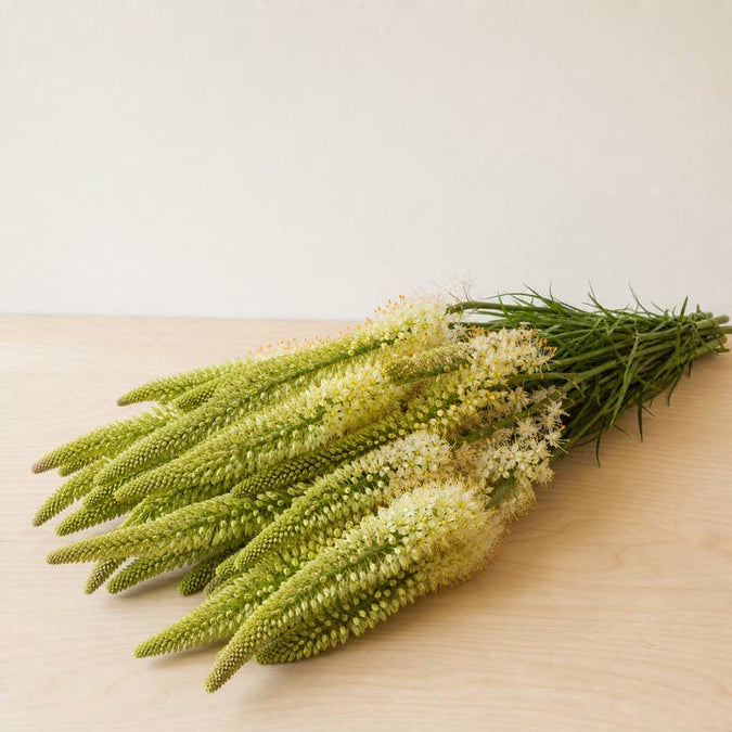 Fresh Foxtail Lilies product photograph