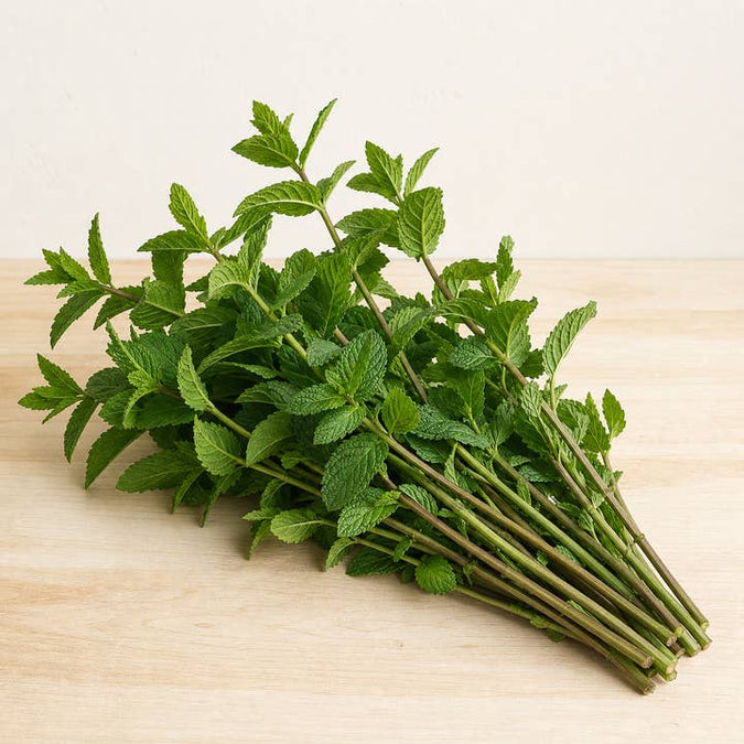 Fresh Mint Foliage product photograph