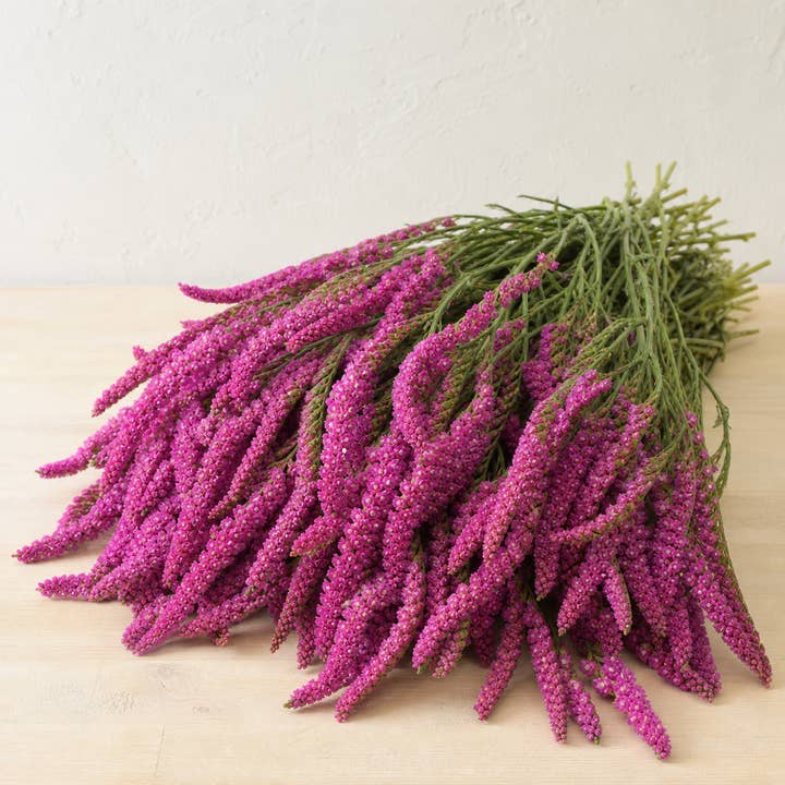 Fresh Rattail Statice product photograph