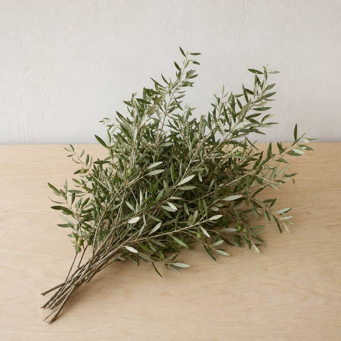 Fresh Olive Branches product photograph