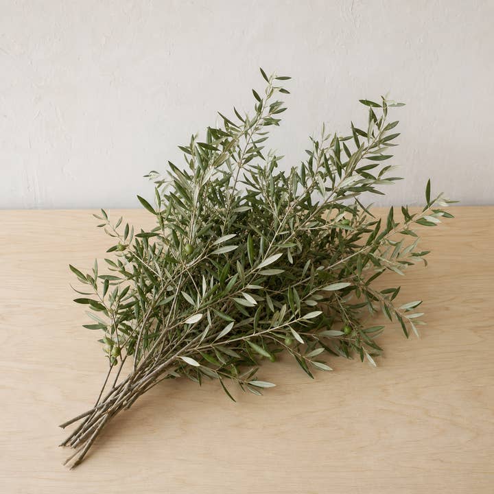 Fresh Olive Branches product photograph