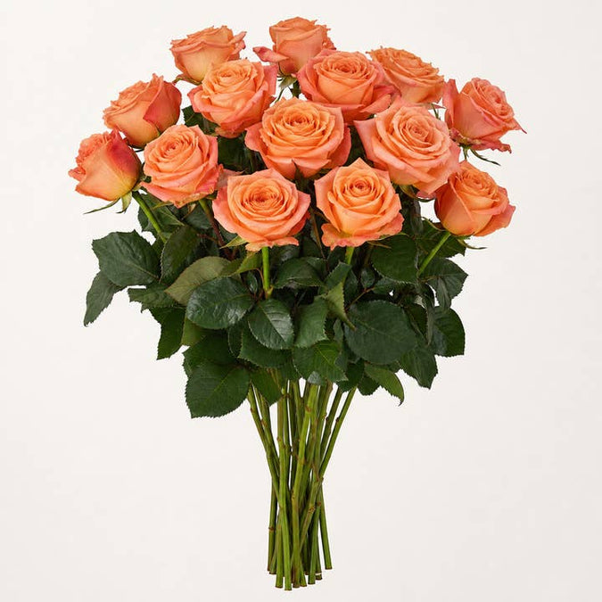 Fresh Kahala Roses product photograph