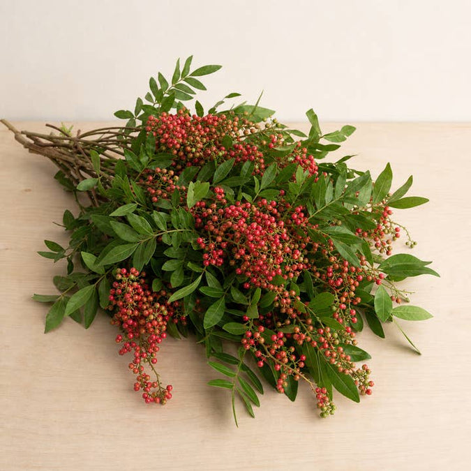 Fresh Brazilian Pepperberry Branches product photograph