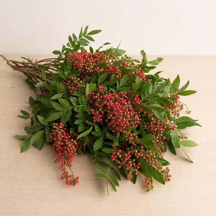 Fresh Brazilian Pepperberry Branches product photograph