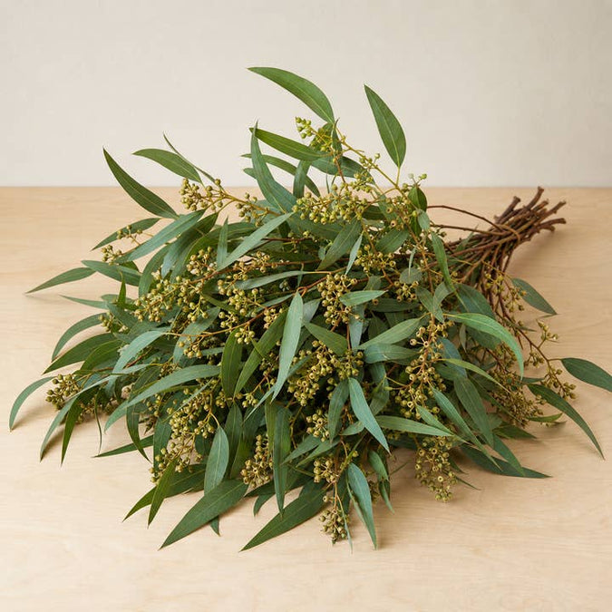 Fresh Willow Eucalyptus Greenery product photograph
