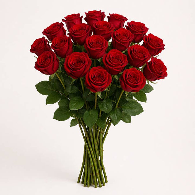 Fresh Red Explorer Roses product photograph