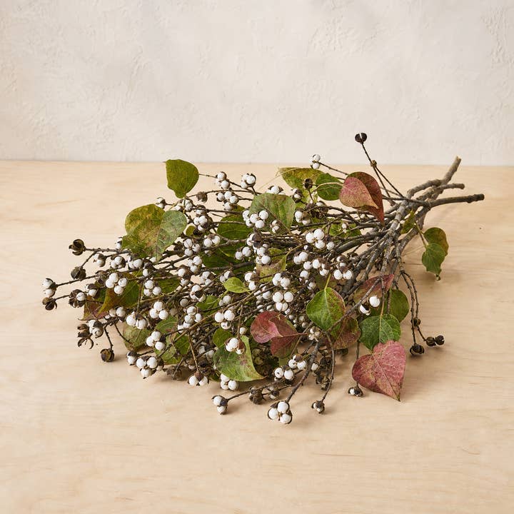 Fresh Popcorn Tree Berry Branches product photograph
