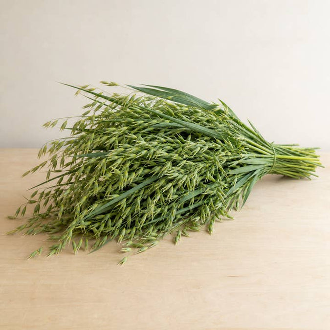 Fresh Oat Grass Stems product photograph