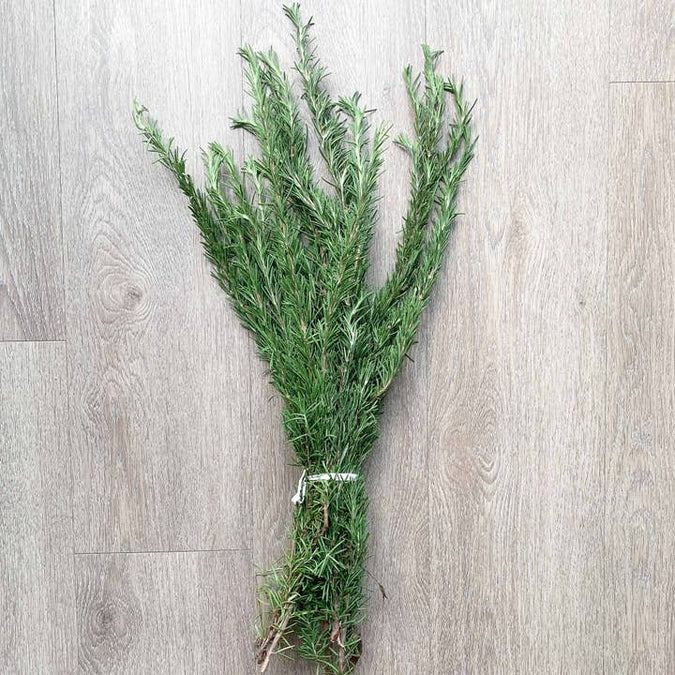 Fresh Rosemary Bunch product photograph