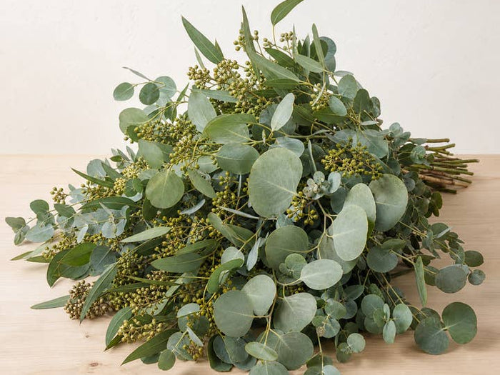 Fresh Seeded & Silver Dollar Eucalyptus Mix product photograph