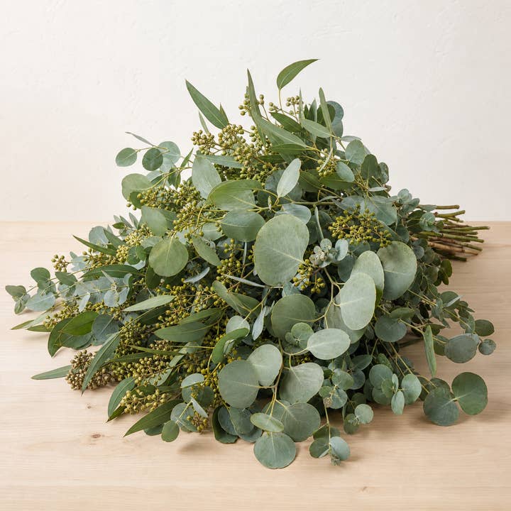 Fresh Seeded & Silver Dollar Eucalyptus Mix product photograph