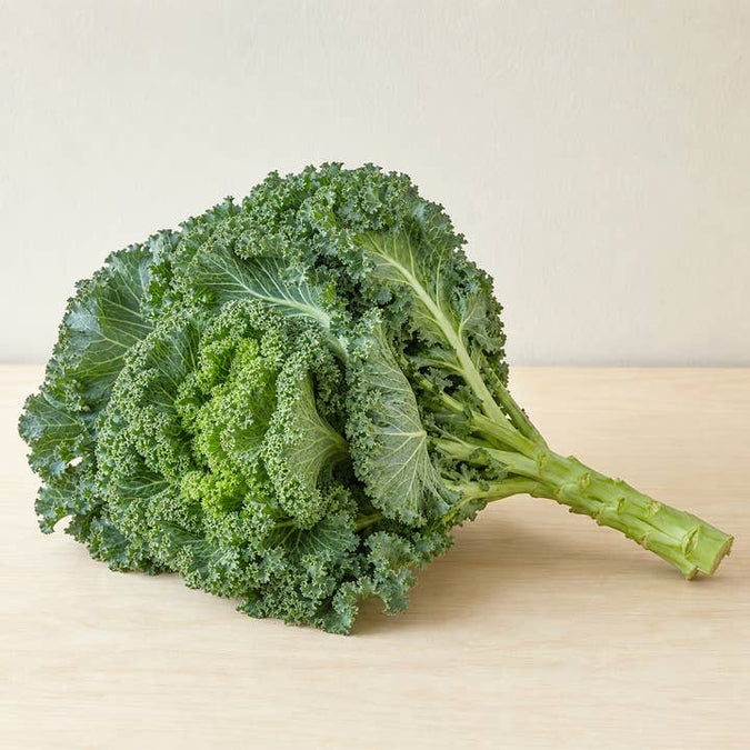 Fresh Large Green Ornamental Kale product photograph