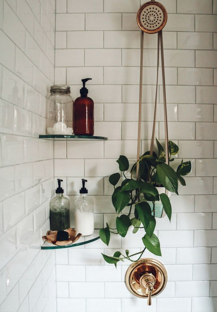 vines hanging along shower wall