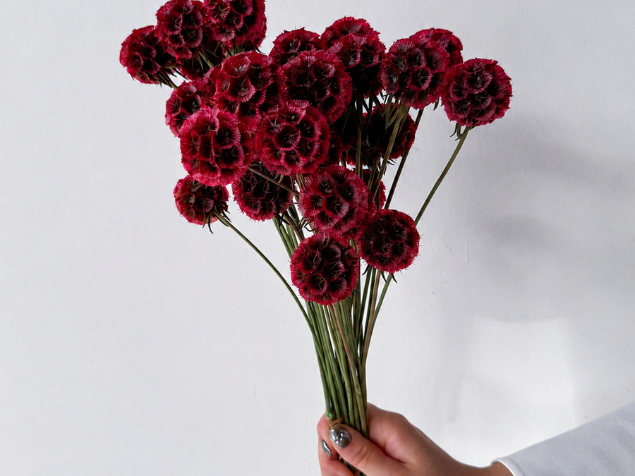 Red Scabiosa & Eucalyptus Bouquets