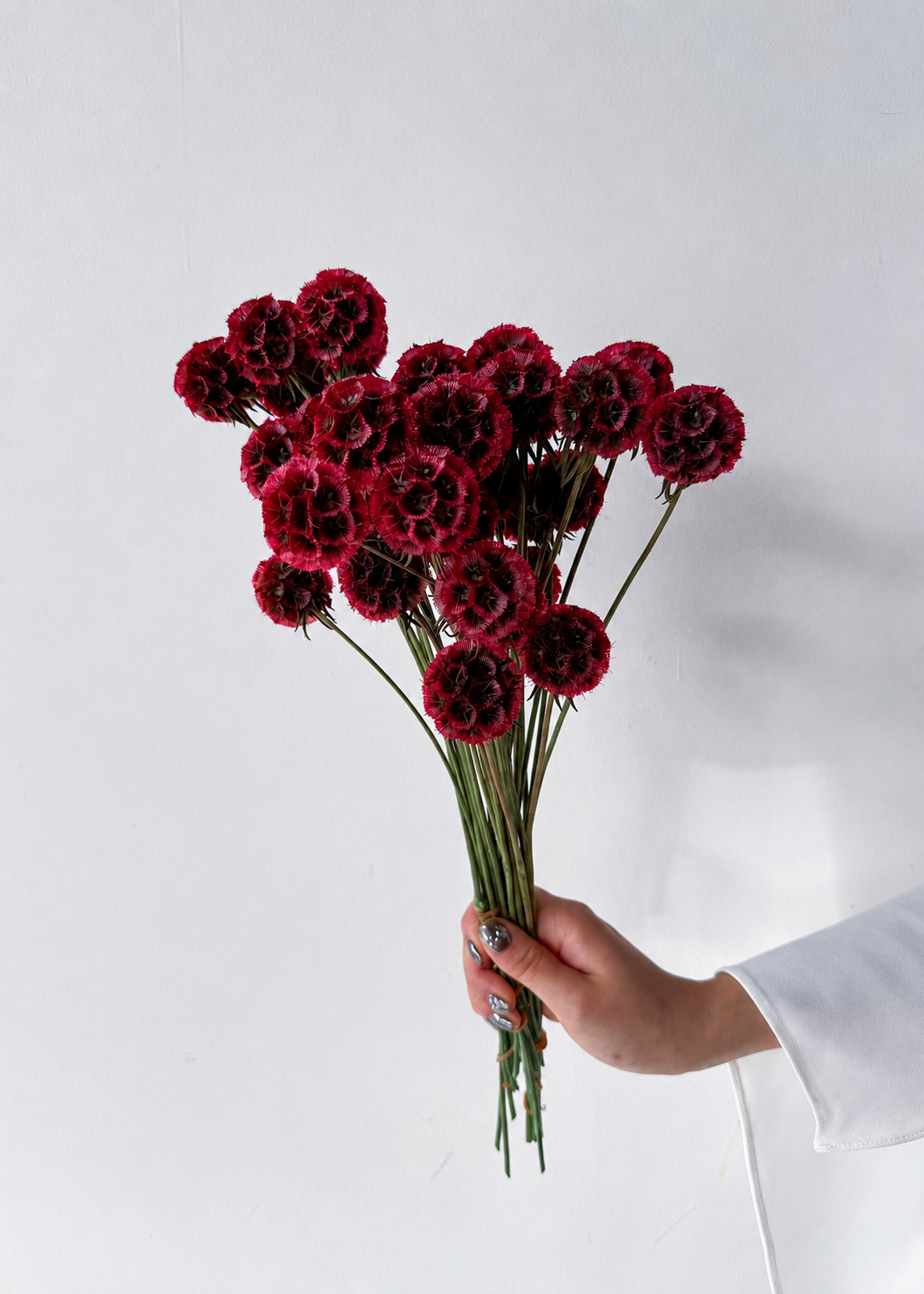 Red Scabiosa & Eucalyptus Bouquets