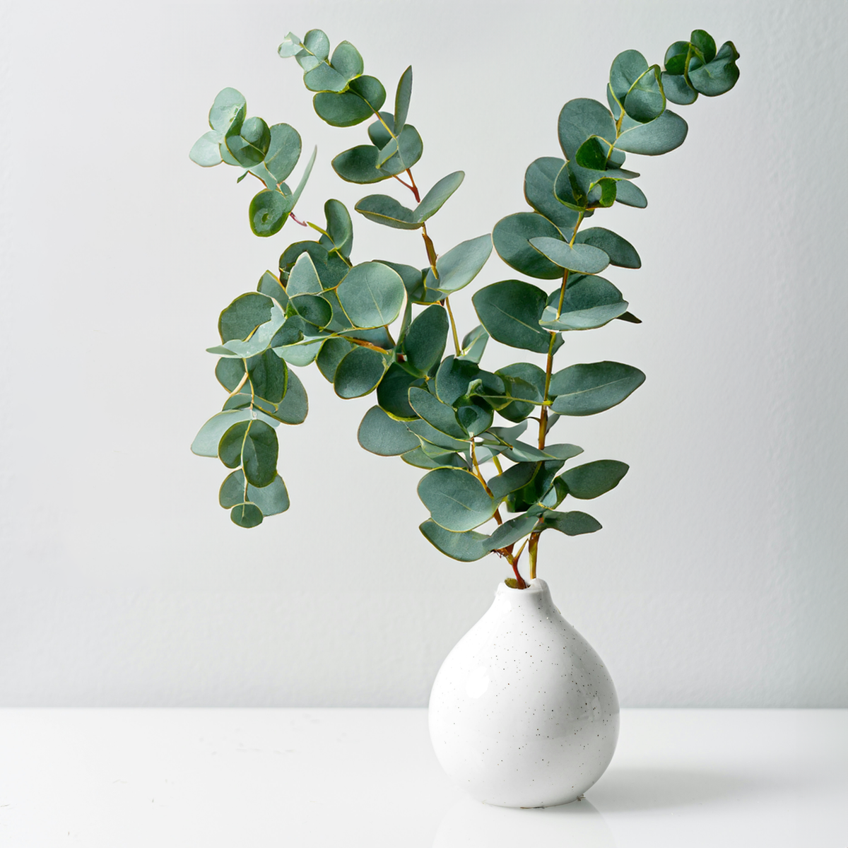 Fresh Eucalyptus Décor Bouquets