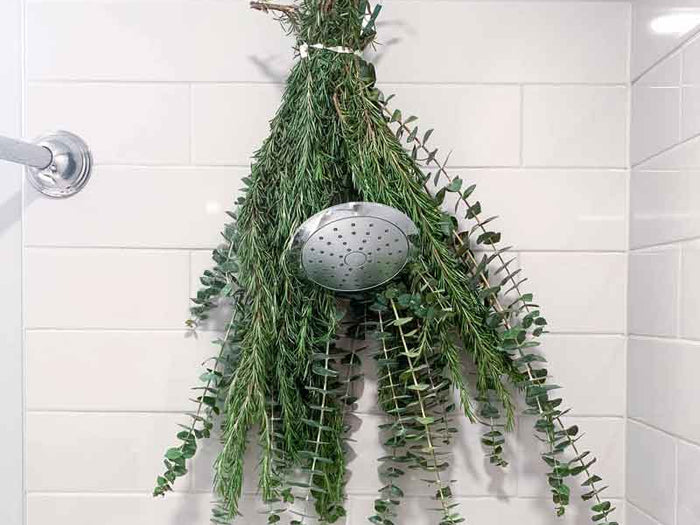Rosemary and eucalyptus hanging from shower white tile