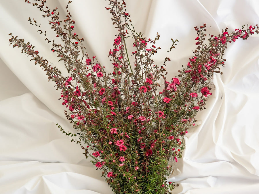 Lepto Flower Bouquets