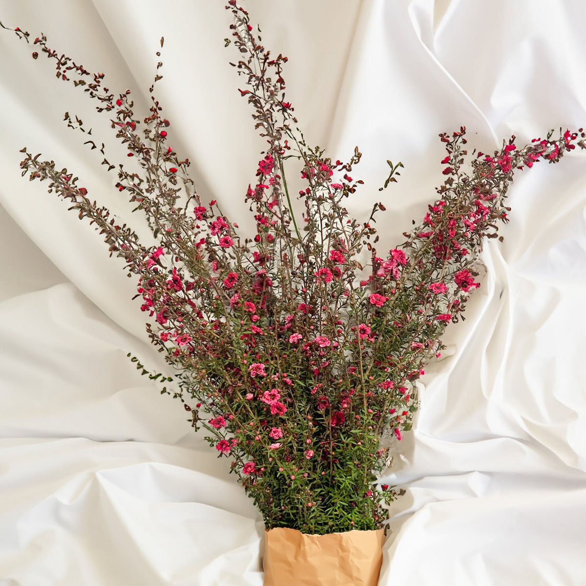 Lepto Flower Bouquets