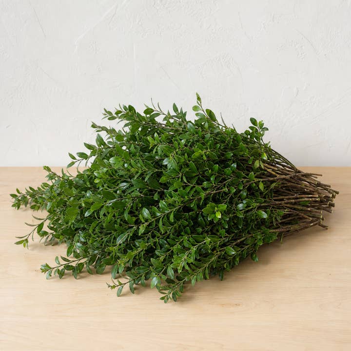 Fresh Green Huckleberry Foliage product photograph