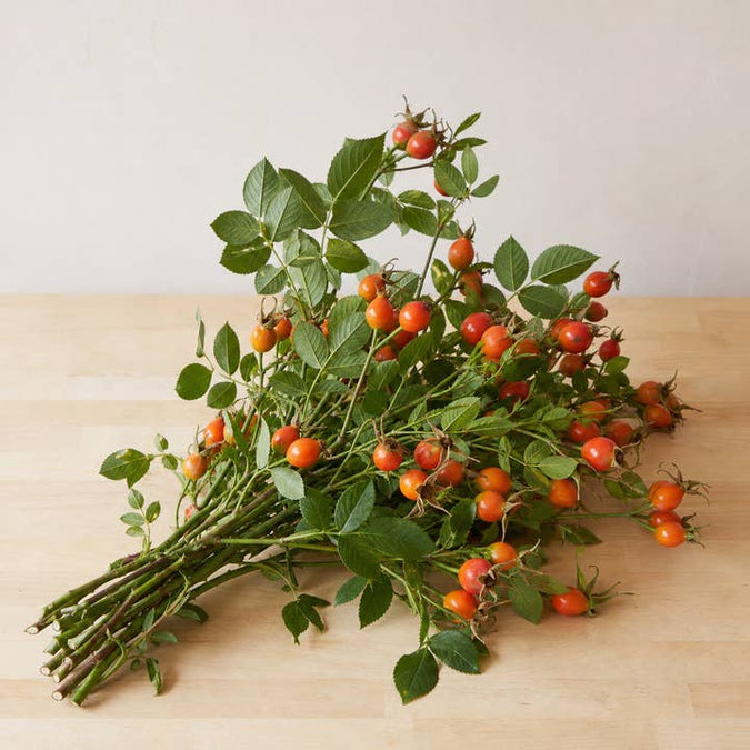 Fresh Orange Rose Hip Branches product photograph