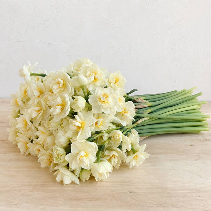 Fresh Cheerfulness Daffodils product photograph