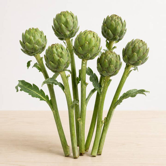 Fresh Green Globe Artichoke Stems product photograph