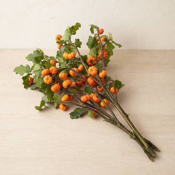 Fresh Orange Pumpkin-on-a-Stick product photograph