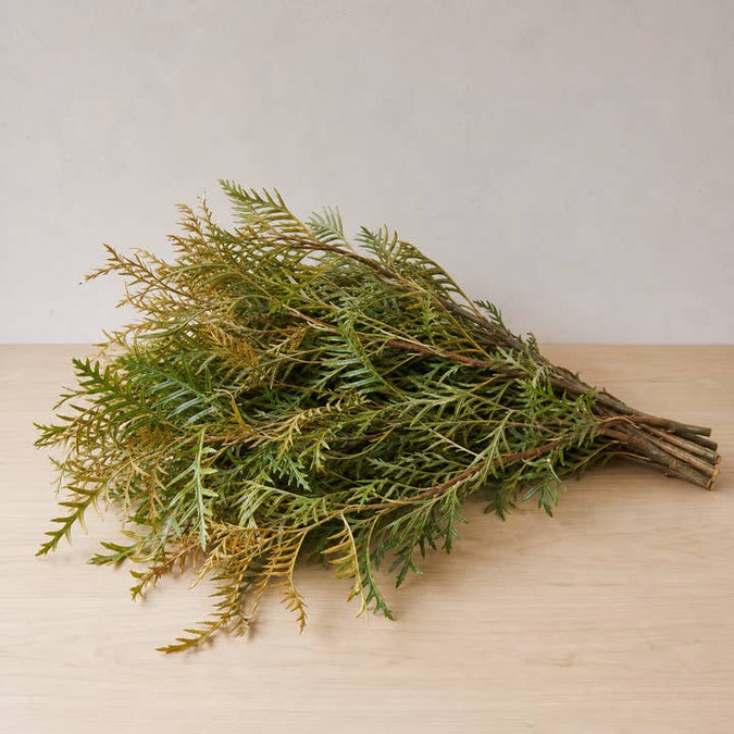 Fresh Green & Blonde Grevillea Foliage product photograph