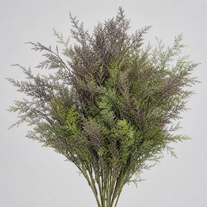 Fresh Acacia Feather greenery with feathery green and muted purple foliage